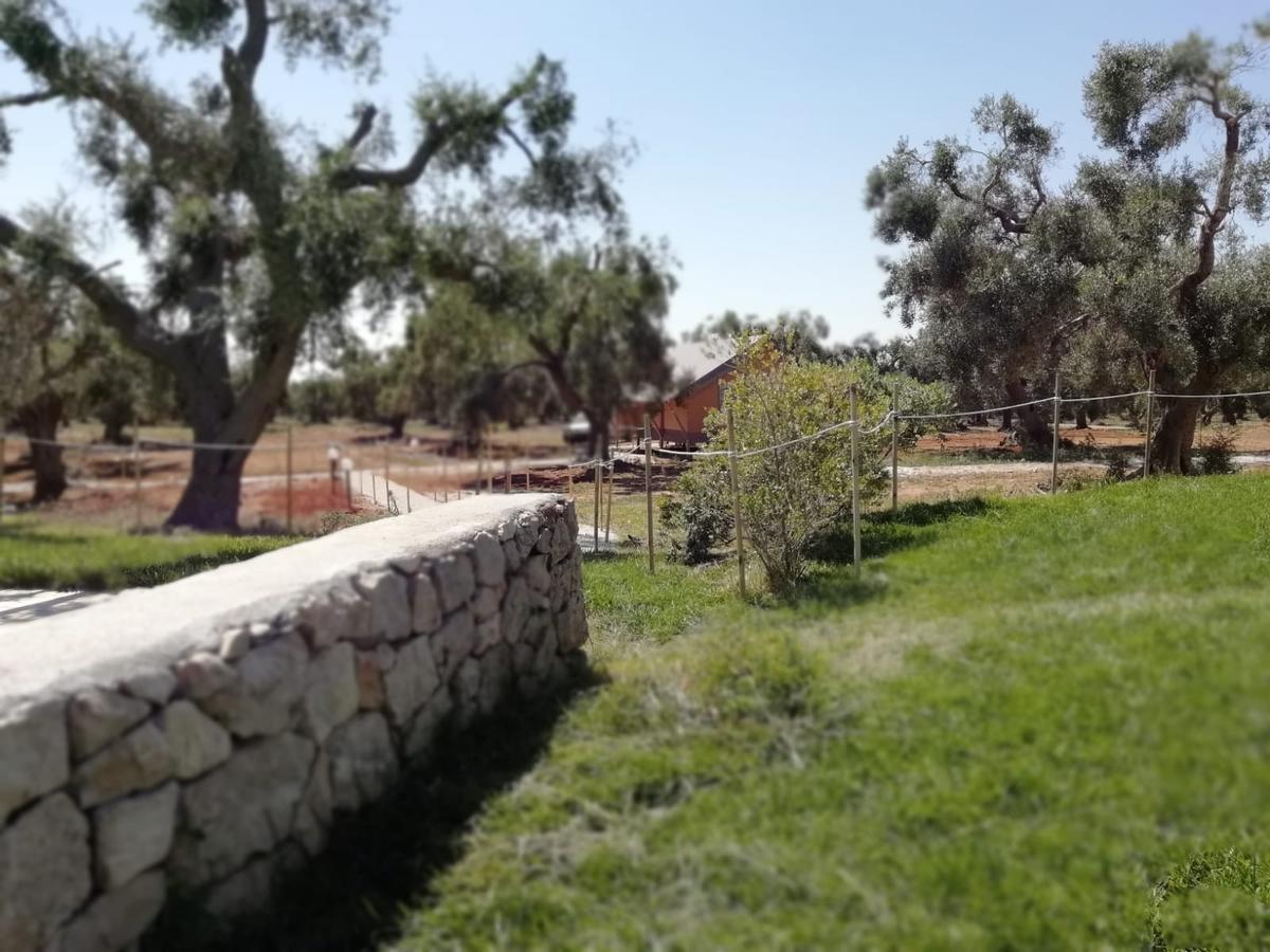 Agriturismo Marconi ปอร์โตเชซาเรโอ ภายนอก รูปภาพ